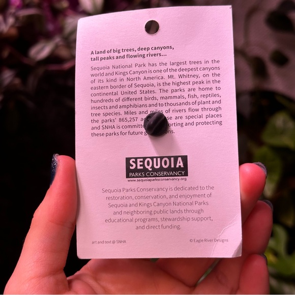 Sequoia and Kings Canyon National Parks Official Collectors Pin Forest Bear - Picture 4 of 5